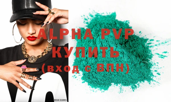 a pvp Новозыбков
