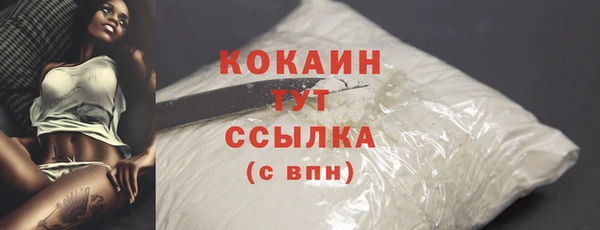 a pvp Новозыбков