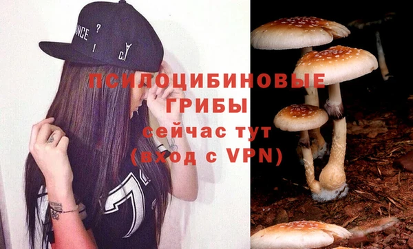 альфа пвп Новокубанск