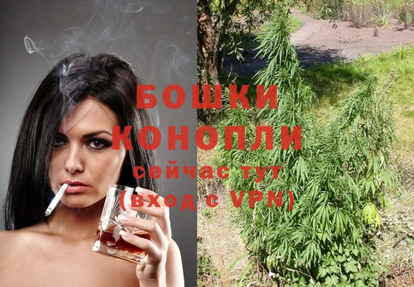 альфа пвп Новокубанск