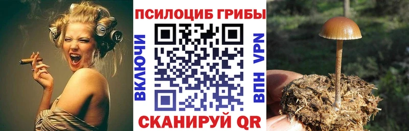Галлюциногенные грибы GOLDEN TEACHER купить наркотики сайты Татарск